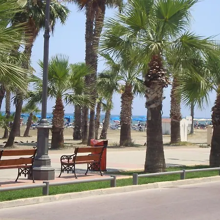 Dioskourion Foinikoudes *